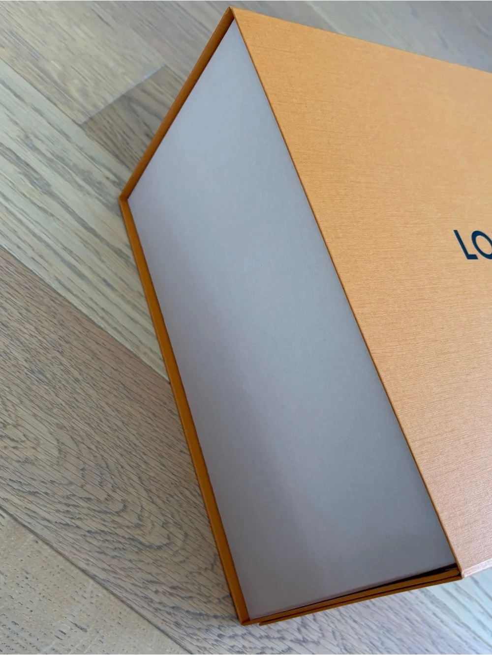 Louis Vuitton classic louis